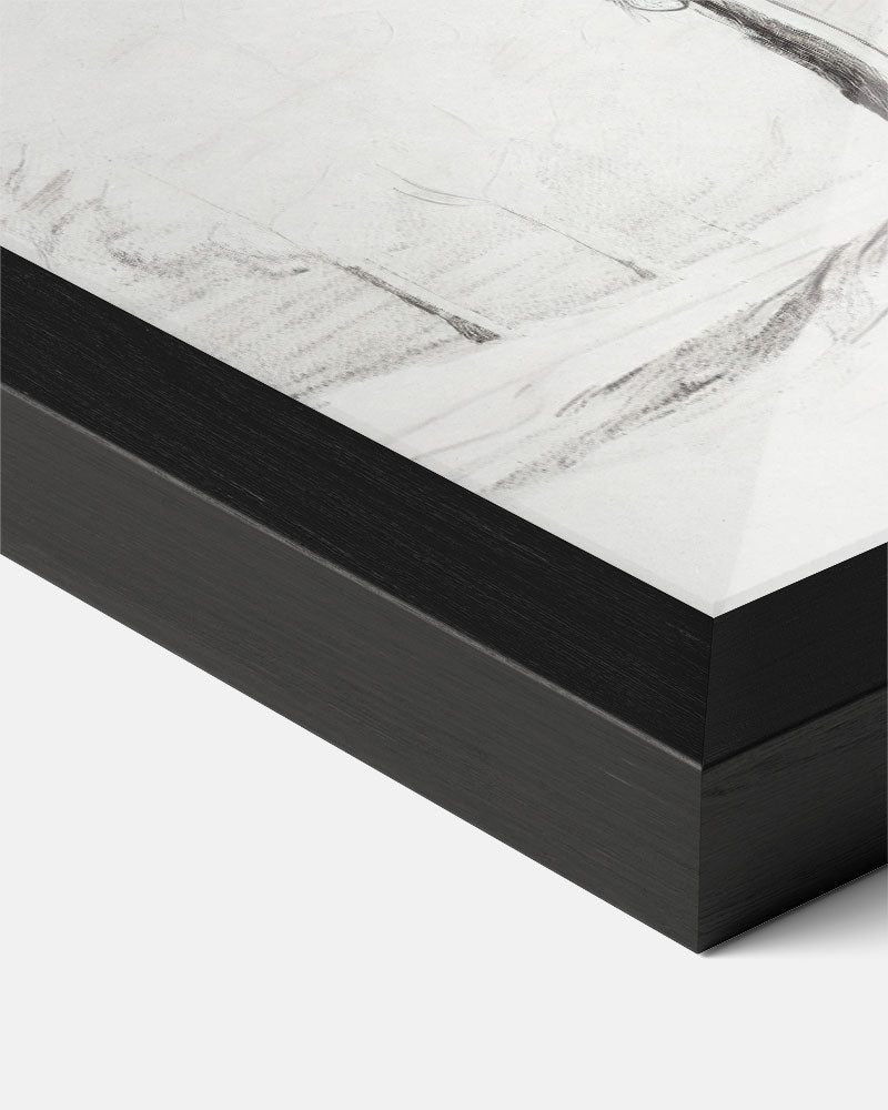 Elegante Zwarte-Witte Bomenprint Poster-WallArtistic