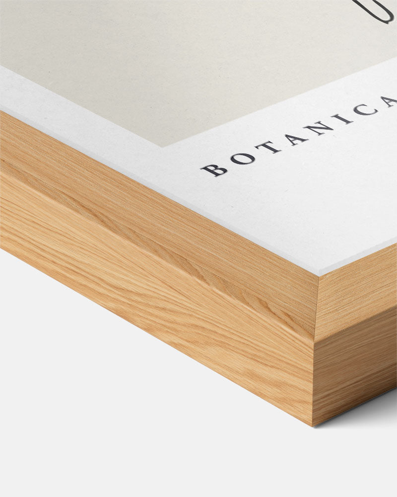 Botanica I Poster-WallArtistic