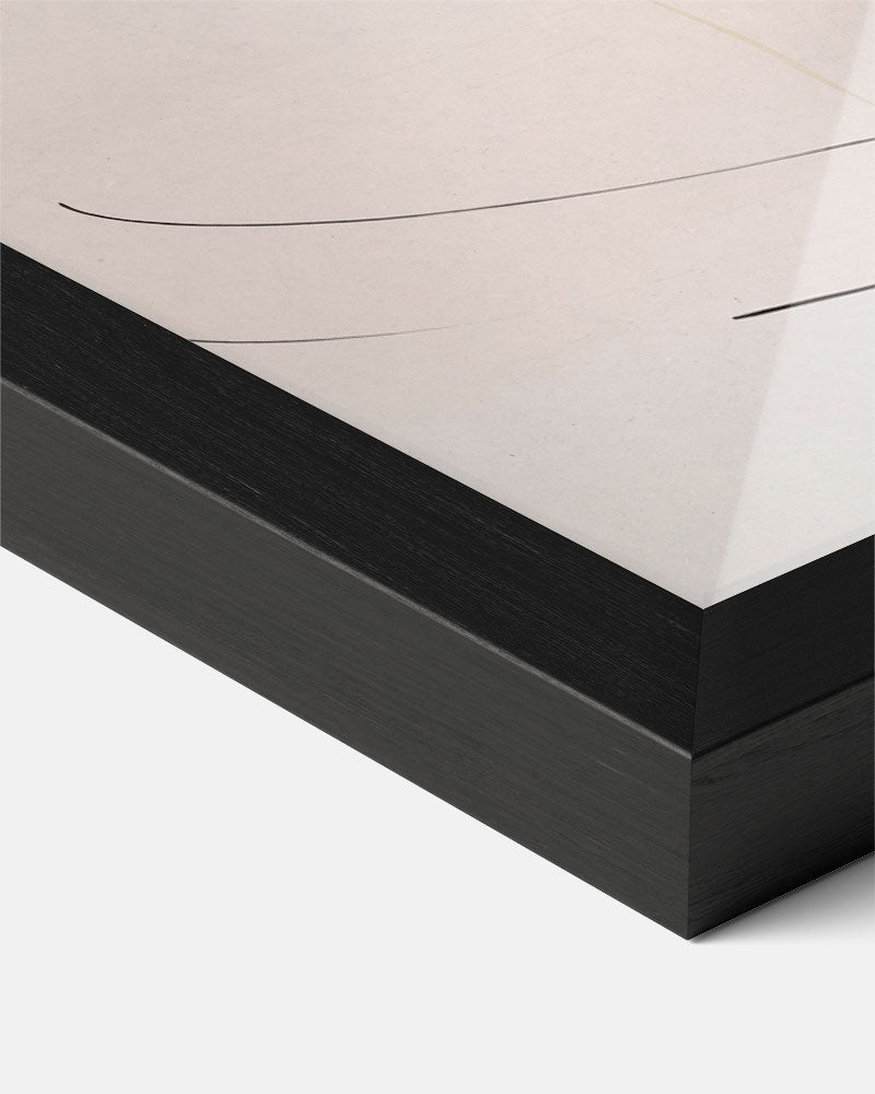 Moderne Abstracte Zwart-Wit Poster-WallArtistic