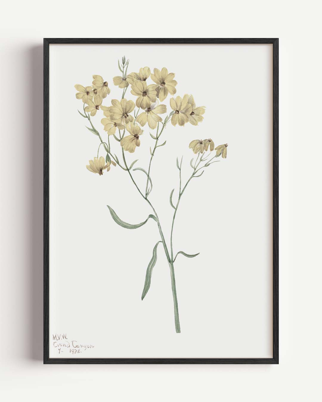 Zongele Bloemenpracht Poster-WallArtistic