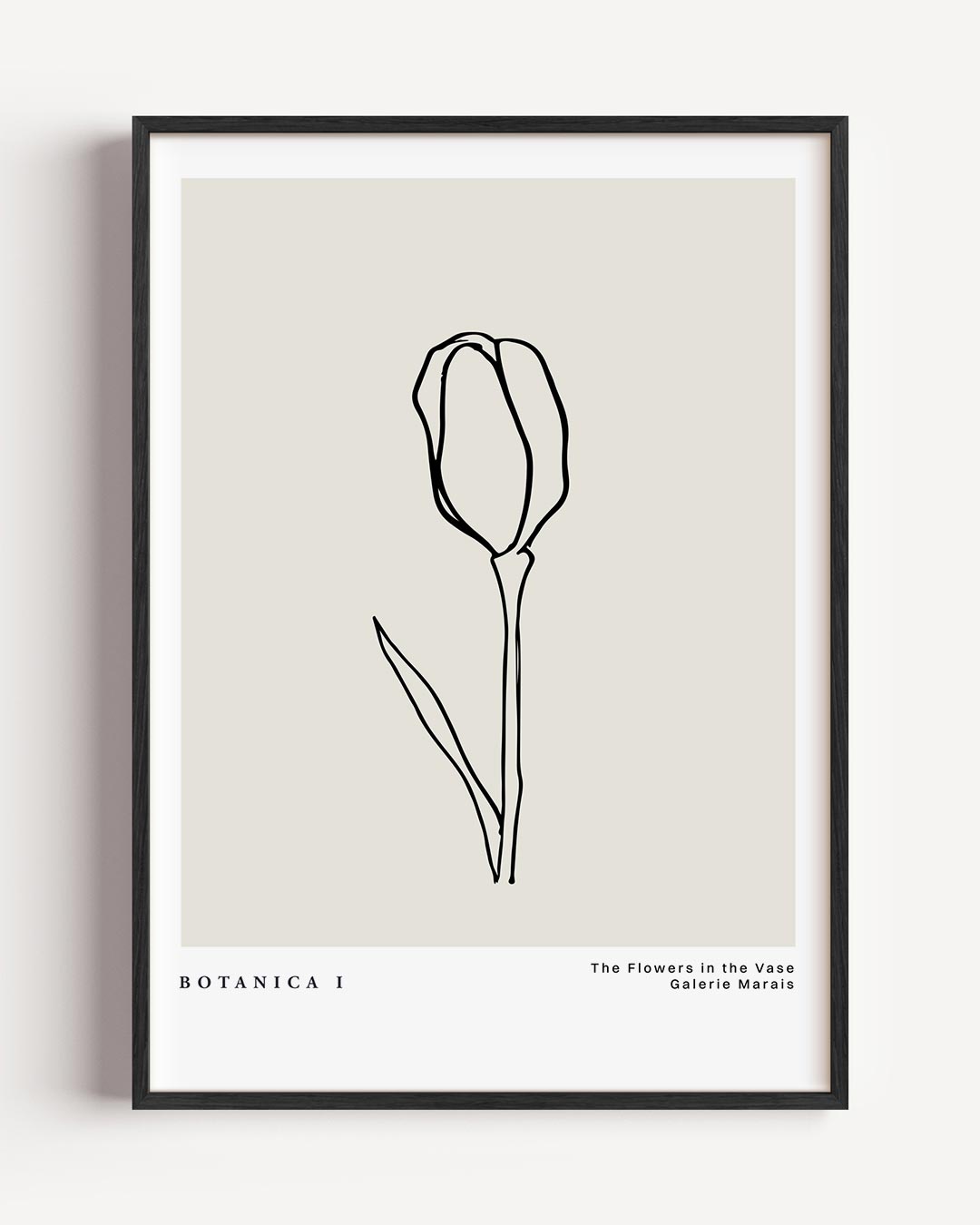 Botanische Lijntekening Tulpen Poster-WallArtistic