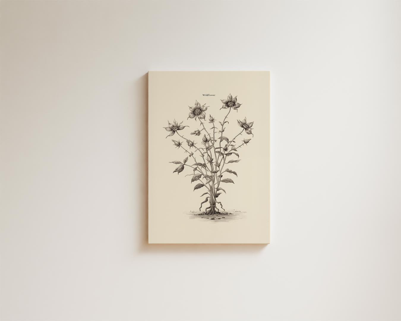 Sierlijke Wilde Bloem Illustratie Kunstwerk-canvas-dibond-plexiglas-wanddecoratie-WallArtistic