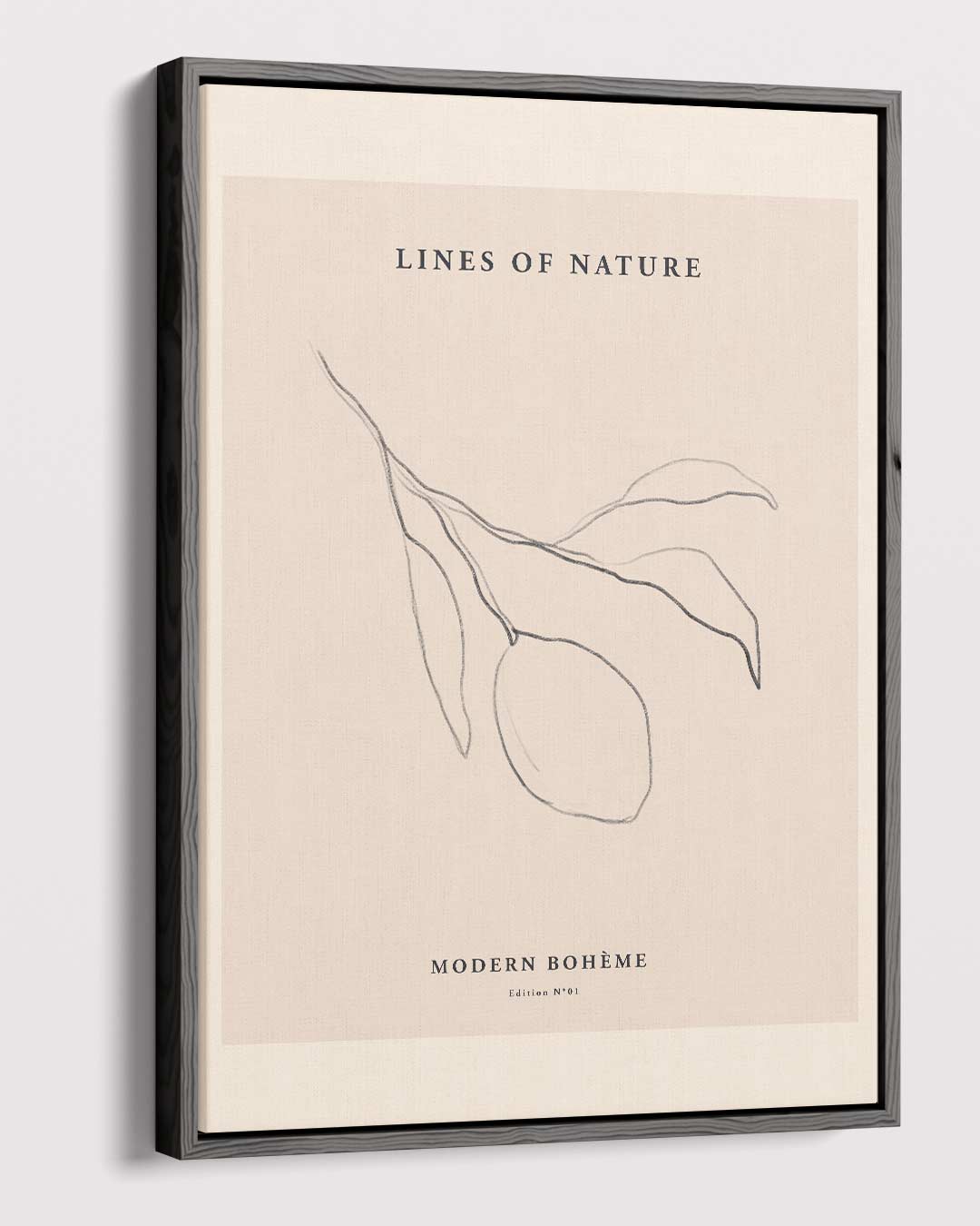 Lines of Nature Poster