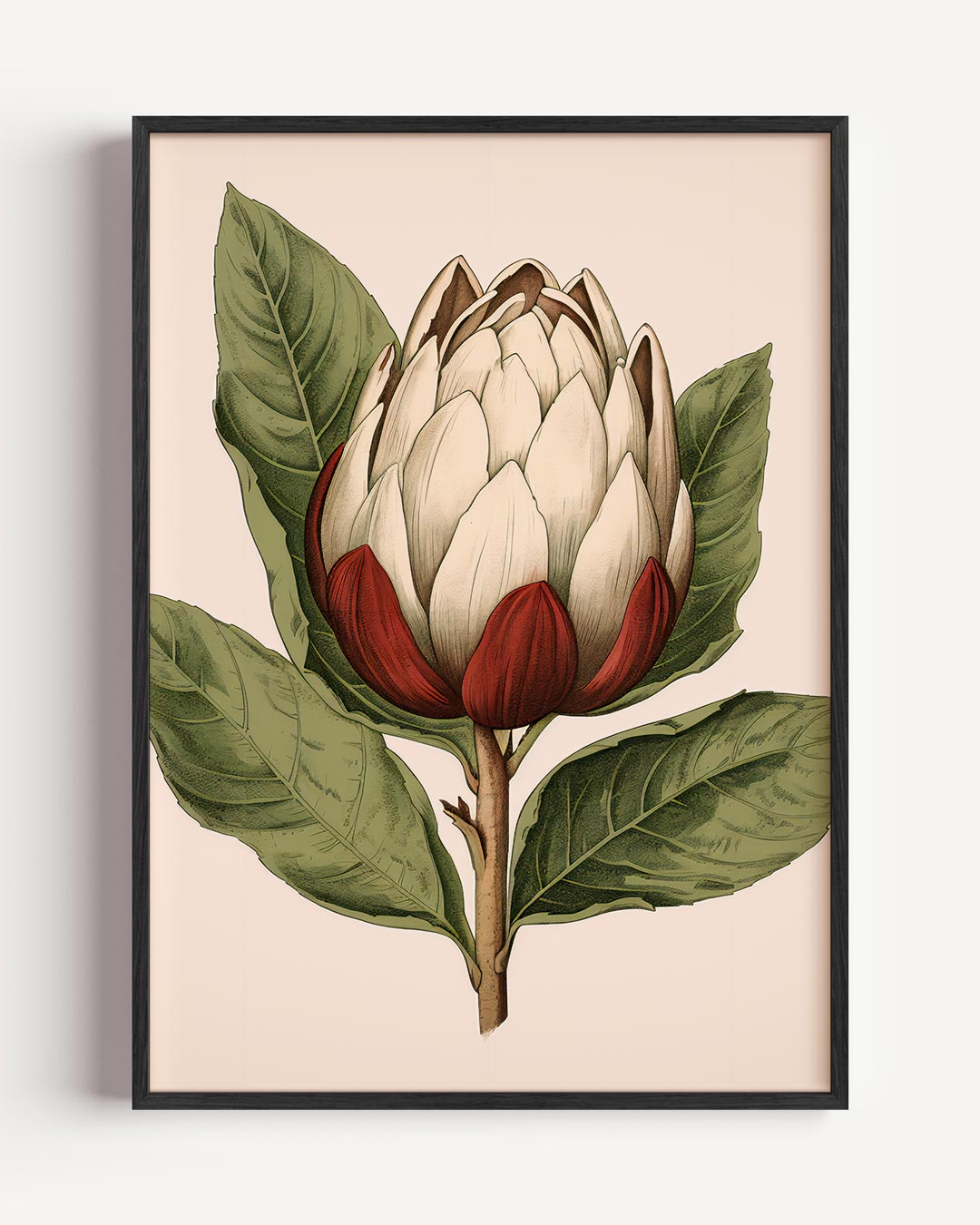 Botanische Artisjok Illustratie Poster-WallArtistic