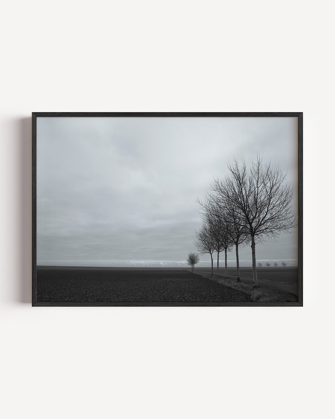 Landschap met bomen Poster