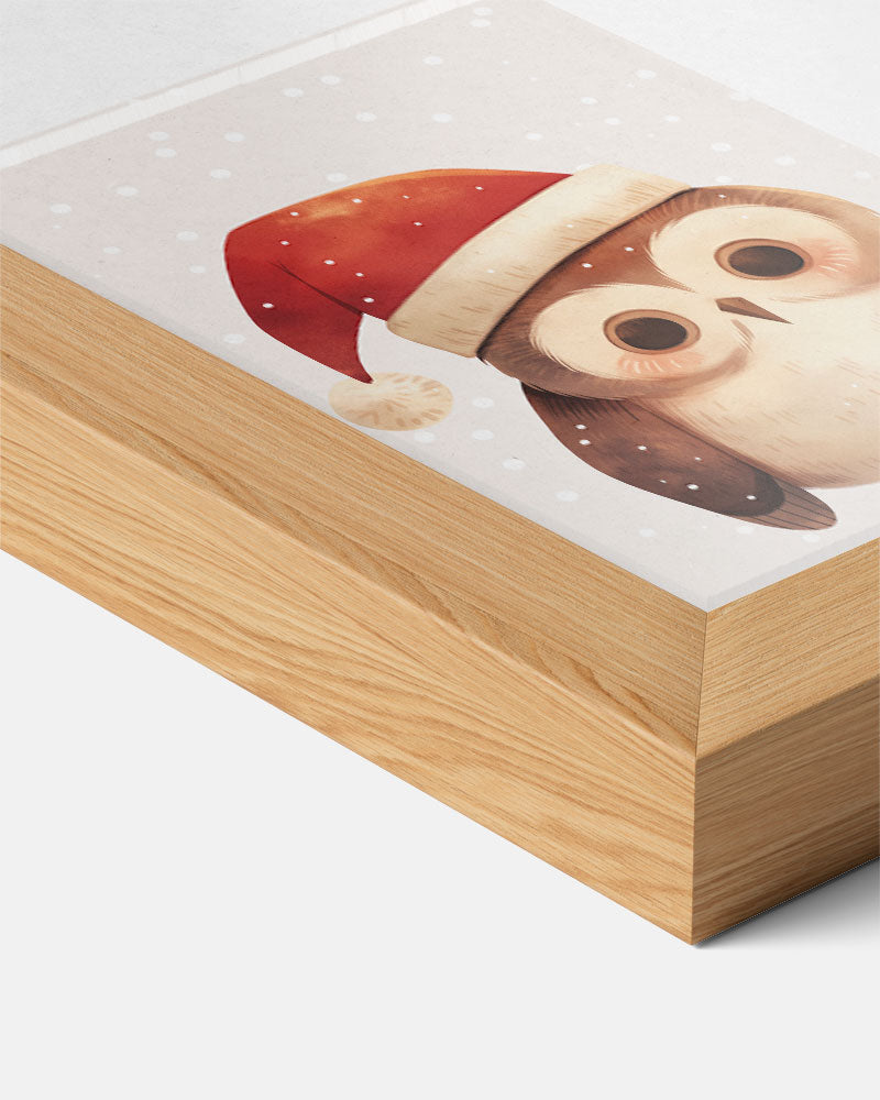 Winterse Uilenposter