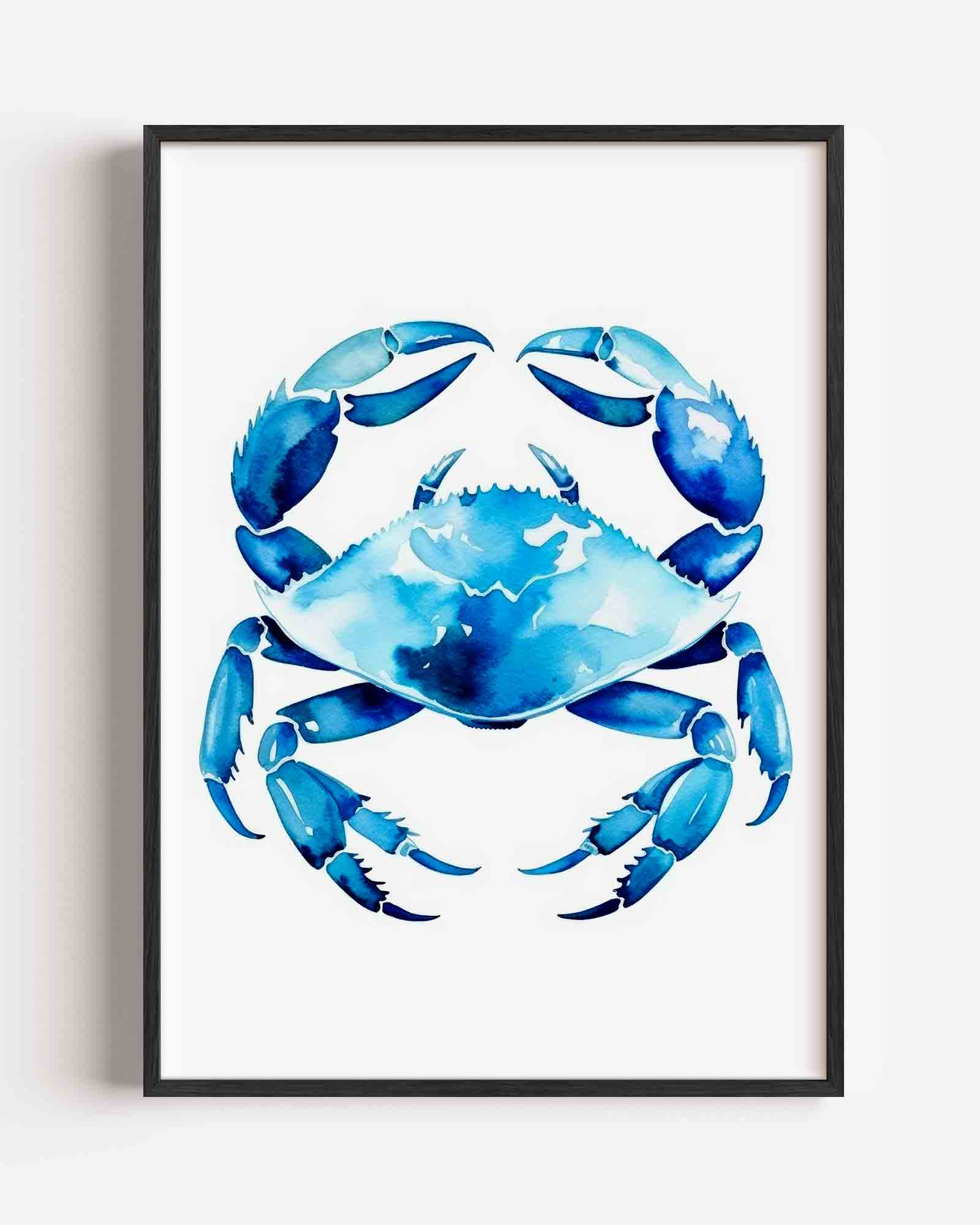 Blauwe krab Poster