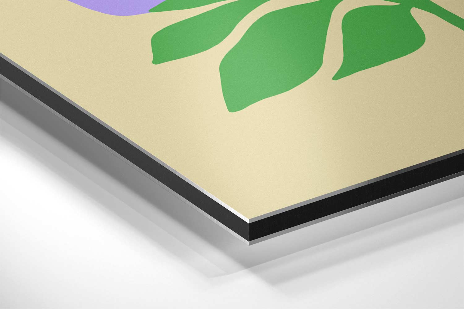 Bloemenpracht in Lila Kunstwerk-canvas-dibond-plexiglas-wanddecoratie-WallArtistic