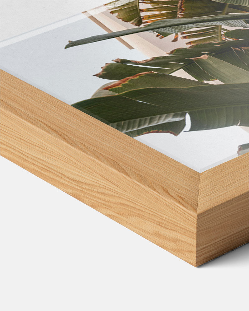 Tropical Jungle Bladeren Poster-WallArtistic