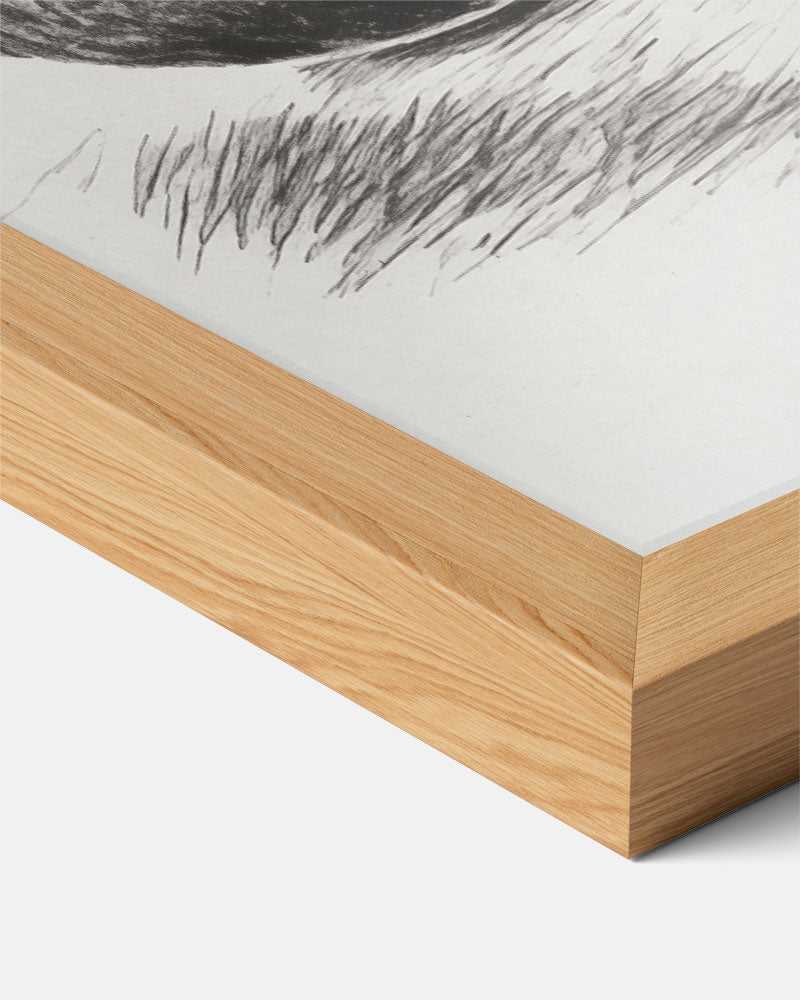 Stijlvolle Stilleven Poster-WallArtistic