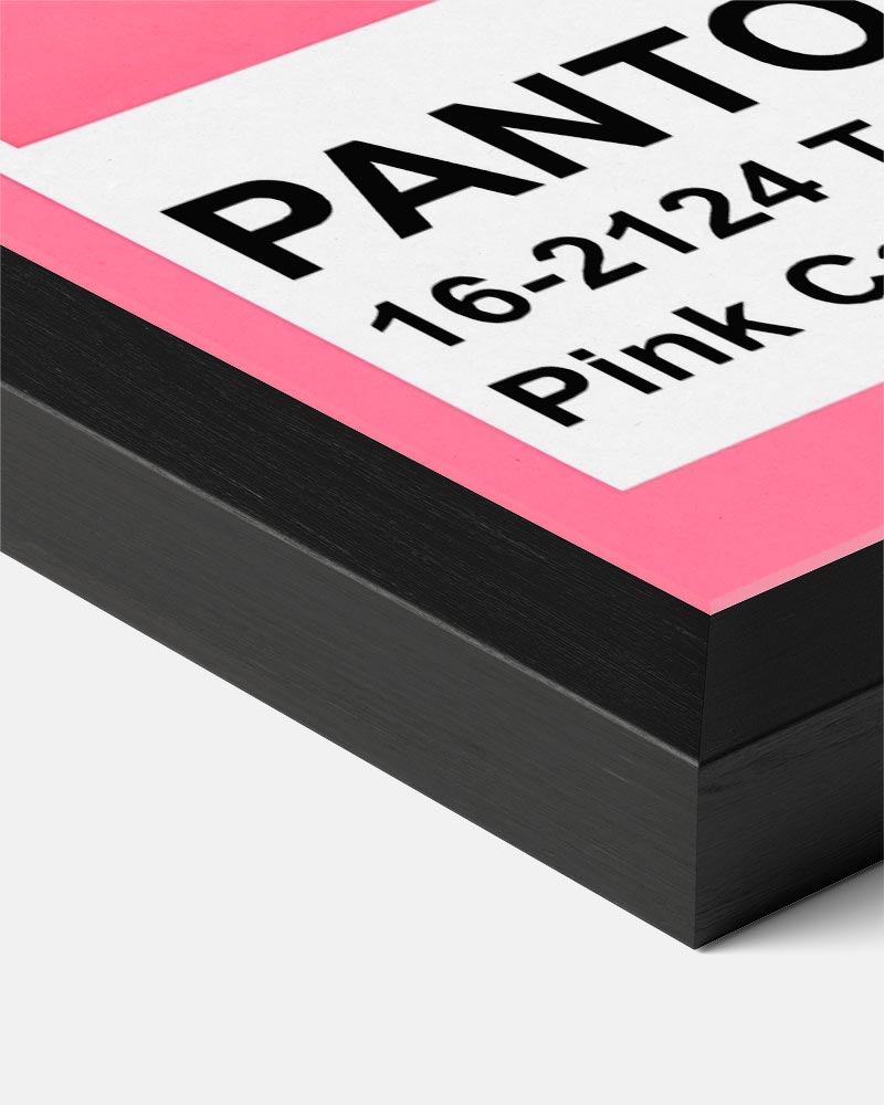 Pantone Pink Carnation Poster