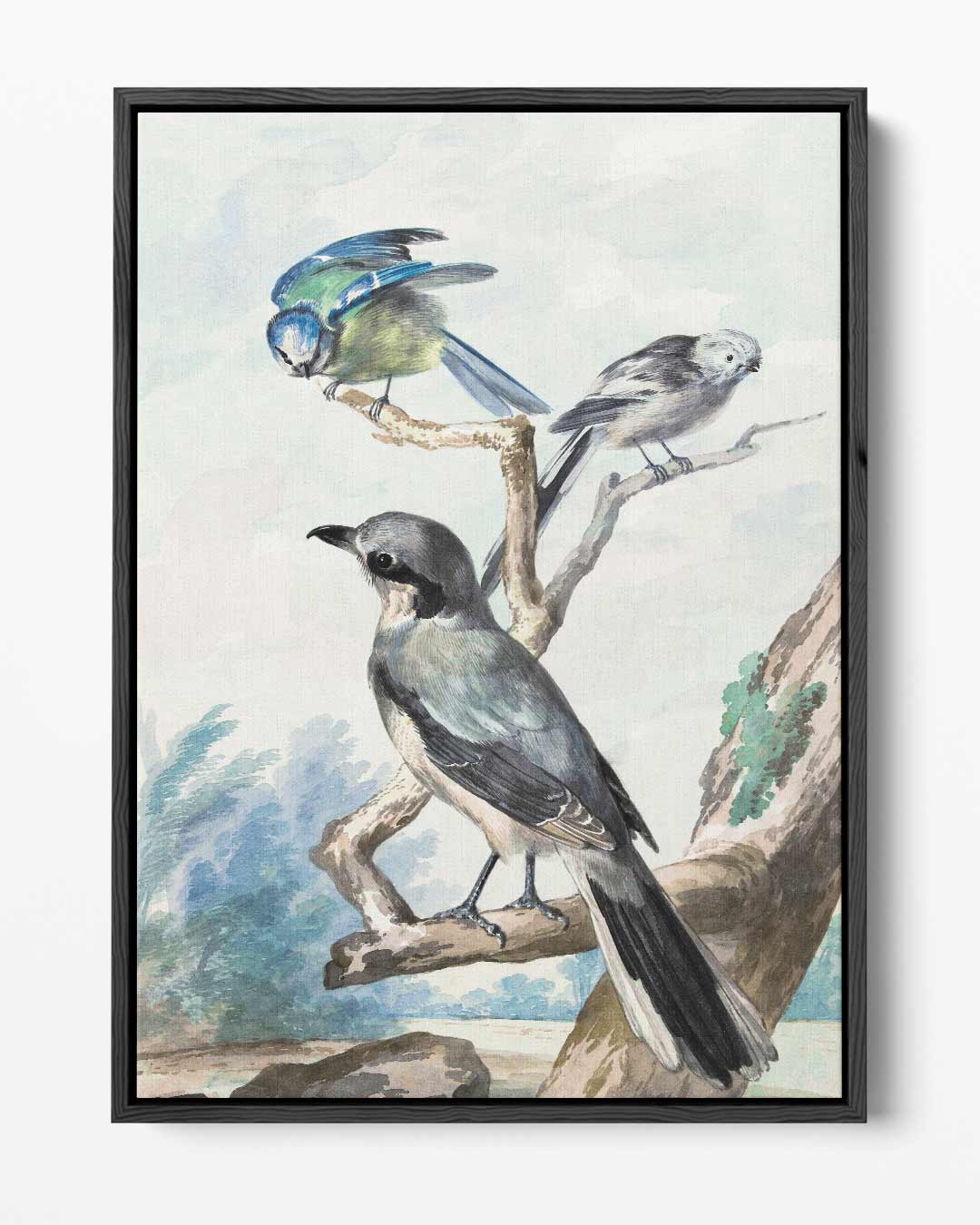 Vogels op een Tak Kunstwerk-canvas-dibond-plexiglas-wanddecoratie-WallArtistic