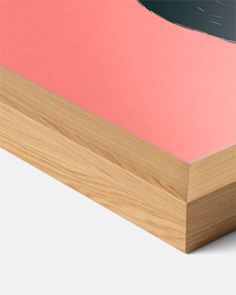 Schattige Kat op Roze Achtergrond Poster-WallArtistic