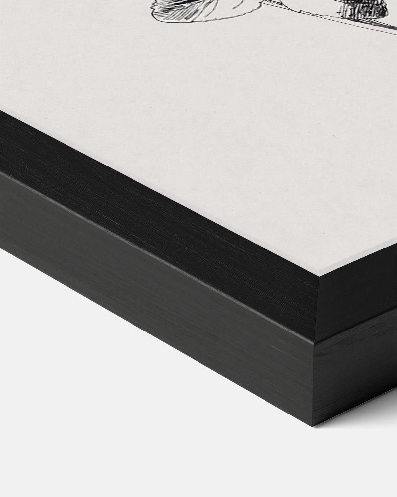 Bloemen Elegantie Poster-WallArtistic