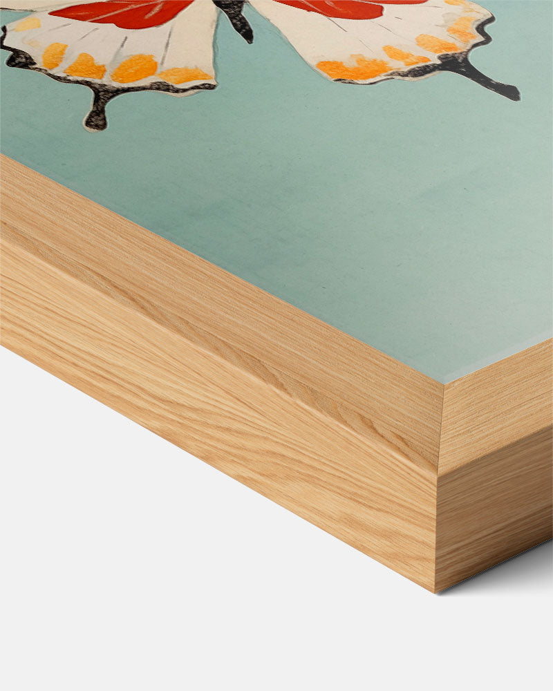 Vlinderpracht Wanddecoratie Poster-WallArtistic