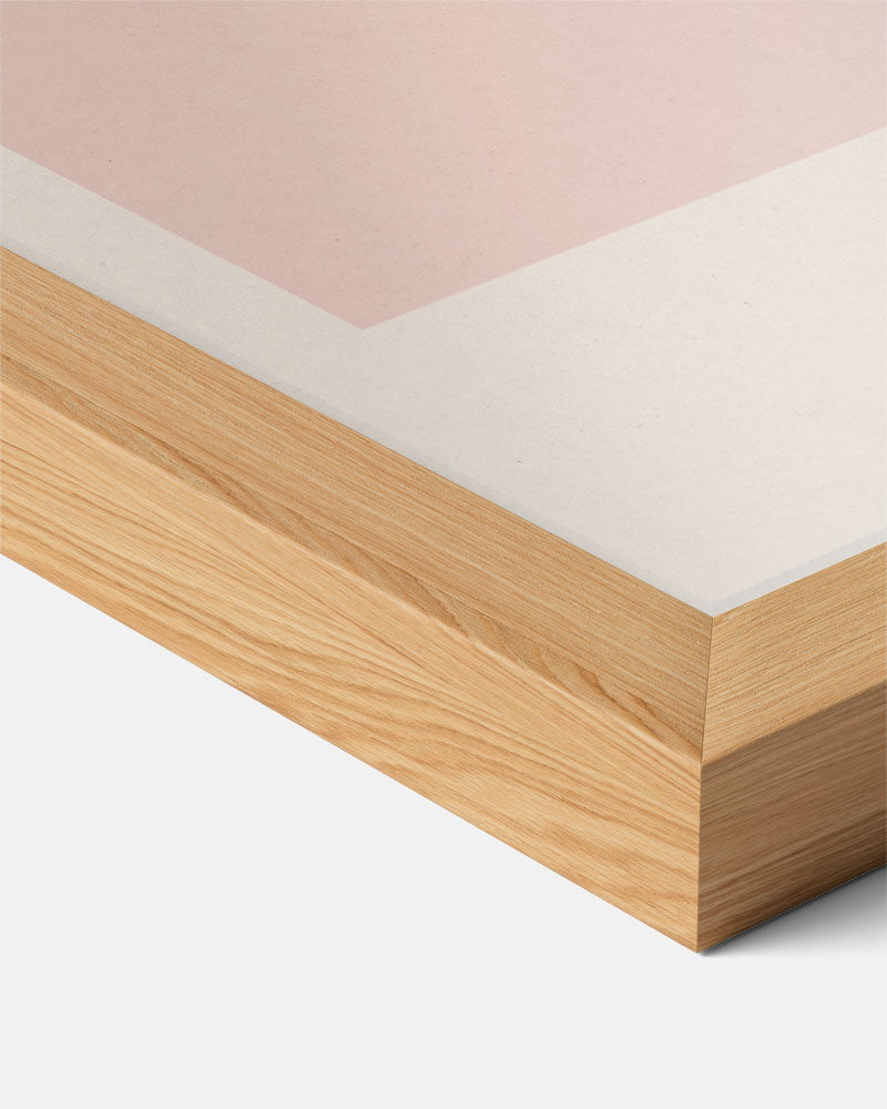 Botanische Bloemillustratie Poster-WallArtistic