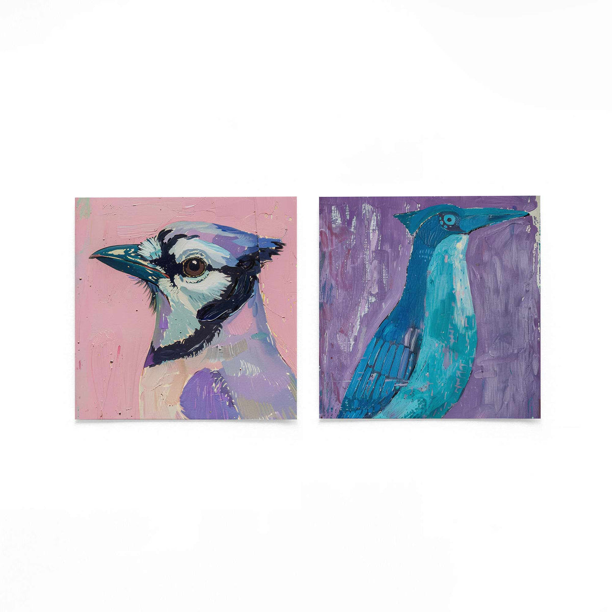 Twee vierkante posters met vogels in kleur op een gebroken witte achtergrond