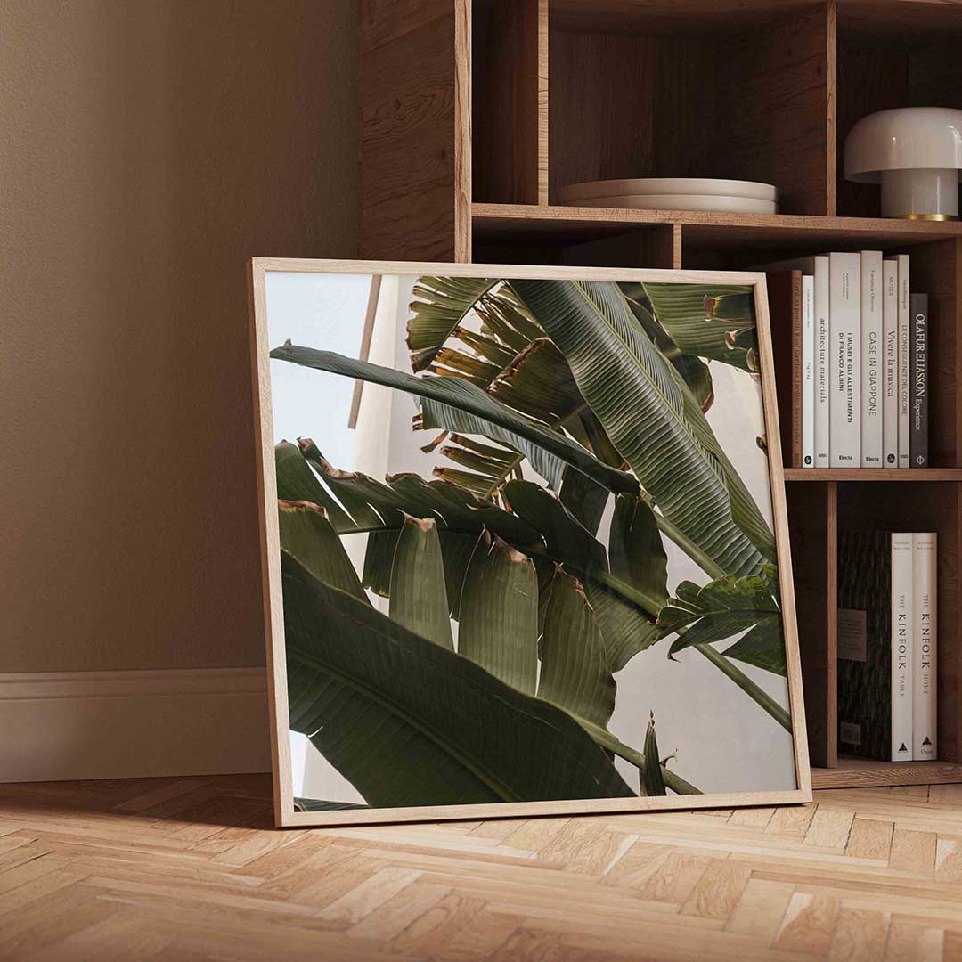 Bananenbladeren Poster