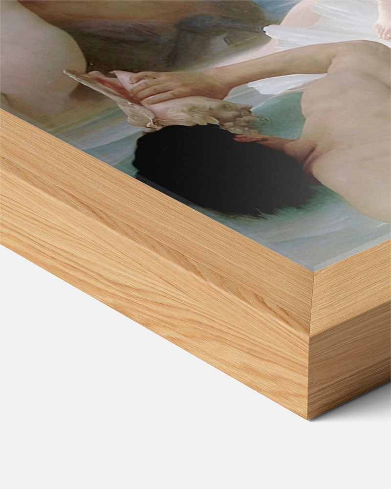 Klassieke Venus Inspiratie Poster