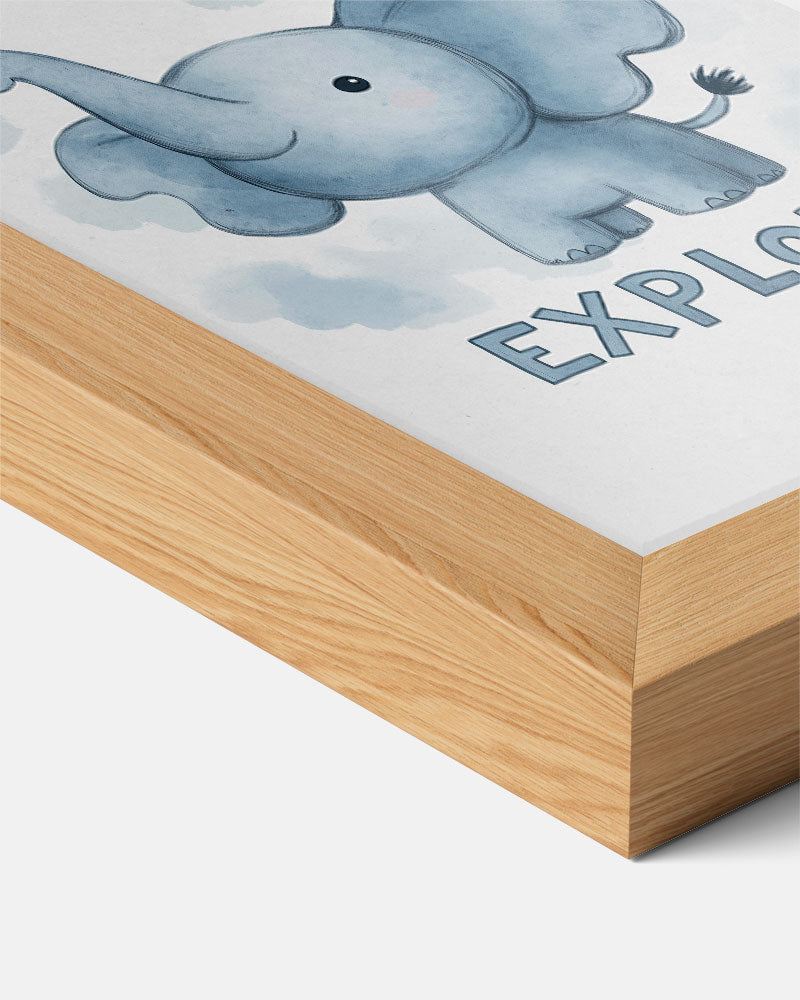 Droomolifant Explore Poster