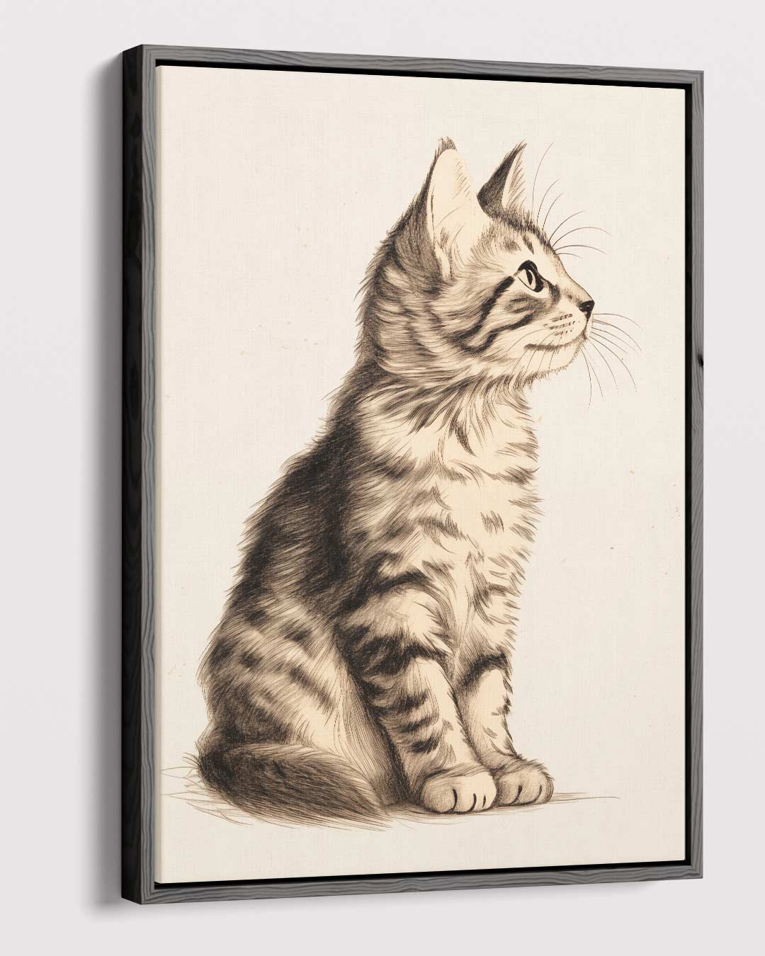 Dromerige Kat in Potlood Kunstwerk-canvas-dibond-plexiglas-wanddecoratie-WallArtistic