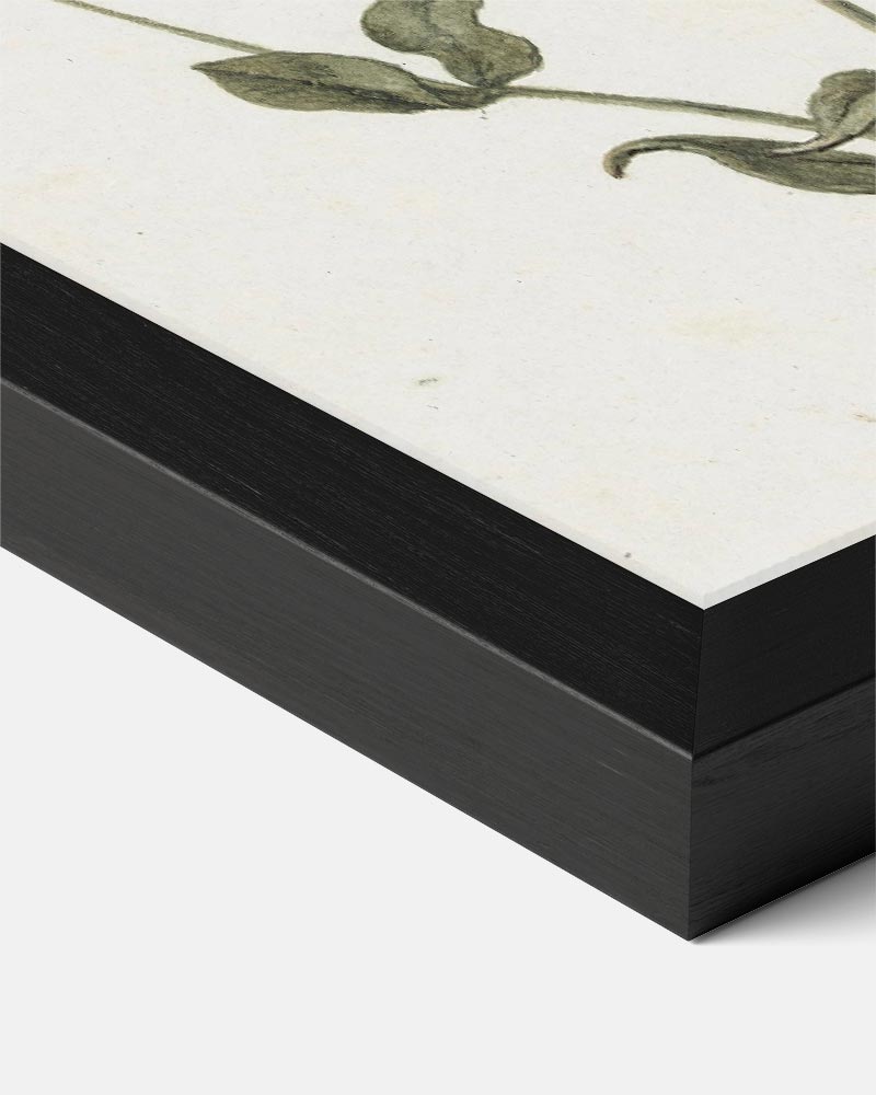 Botanische Bloemenposter