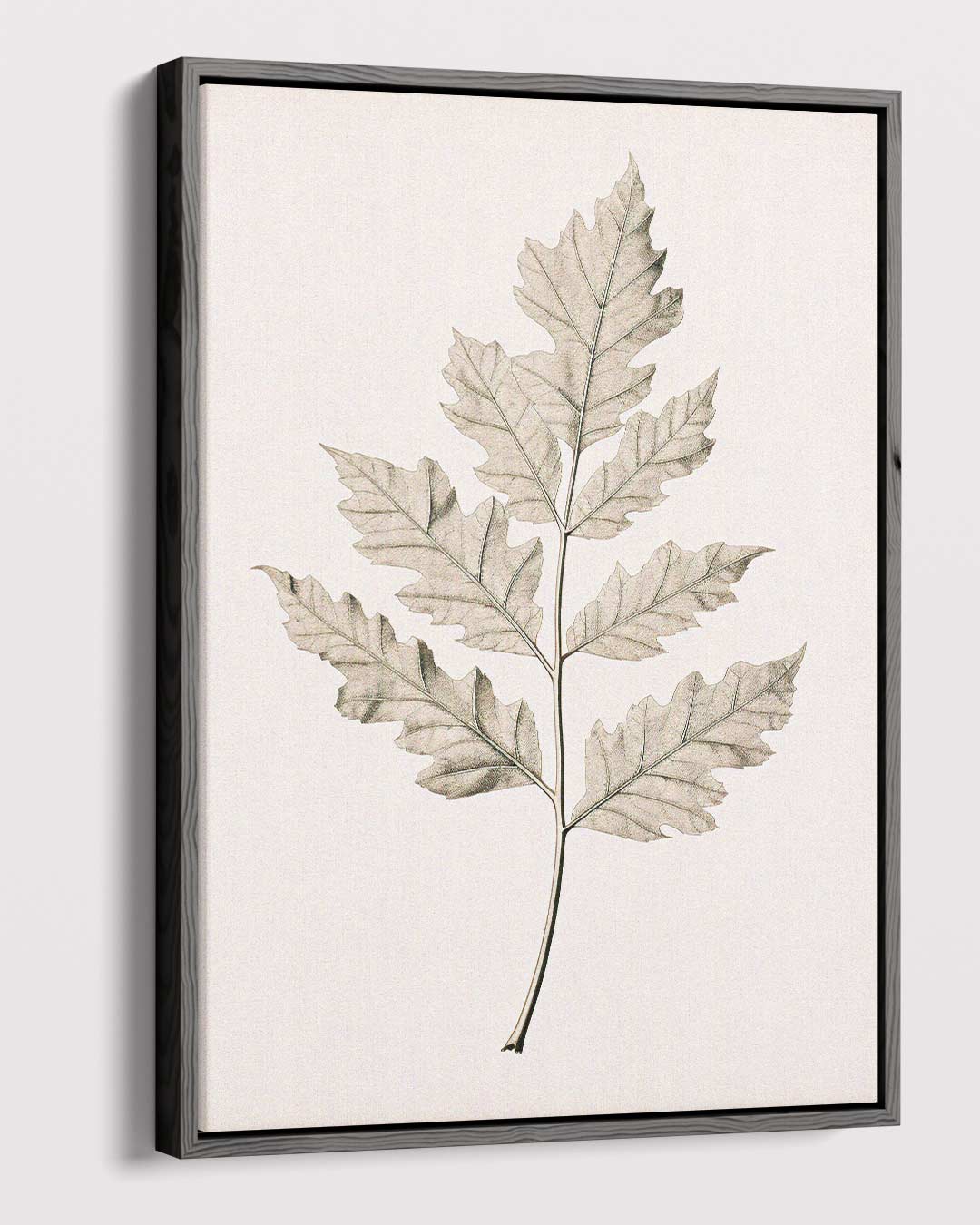 Botanische Elegantielijn Kunstwerk-canvas-dibond-plexiglas-wanddecoratie-WallArtistic
