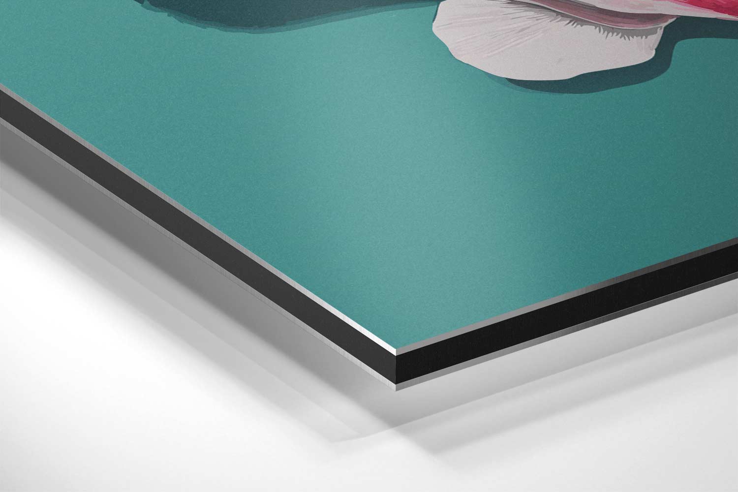 Schelp met Roze Accenten Kunstwerk-canvas-dibond-plexiglas-wanddecoratie-WallArtistic