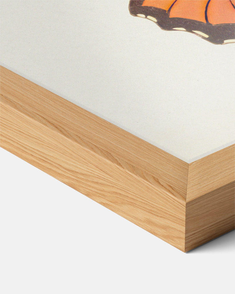 Abstracte Poster-WallArtistic