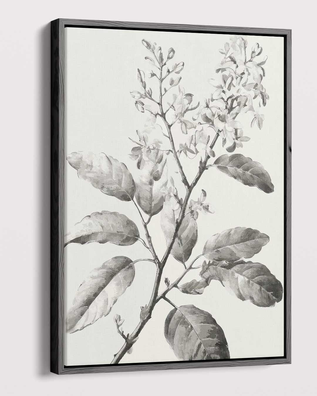 Botanische Schets in Zwart-Wit Kunstwerk-canvas-dibond-plexiglas-wanddecoratie-WallArtistic