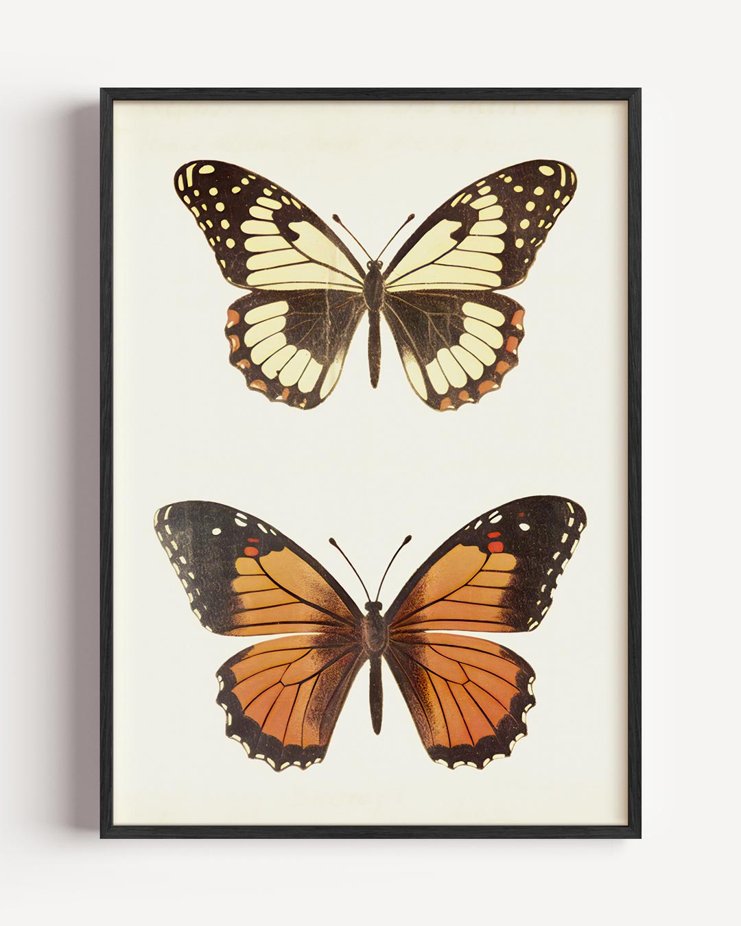 Abstracte Poster-WallArtistic