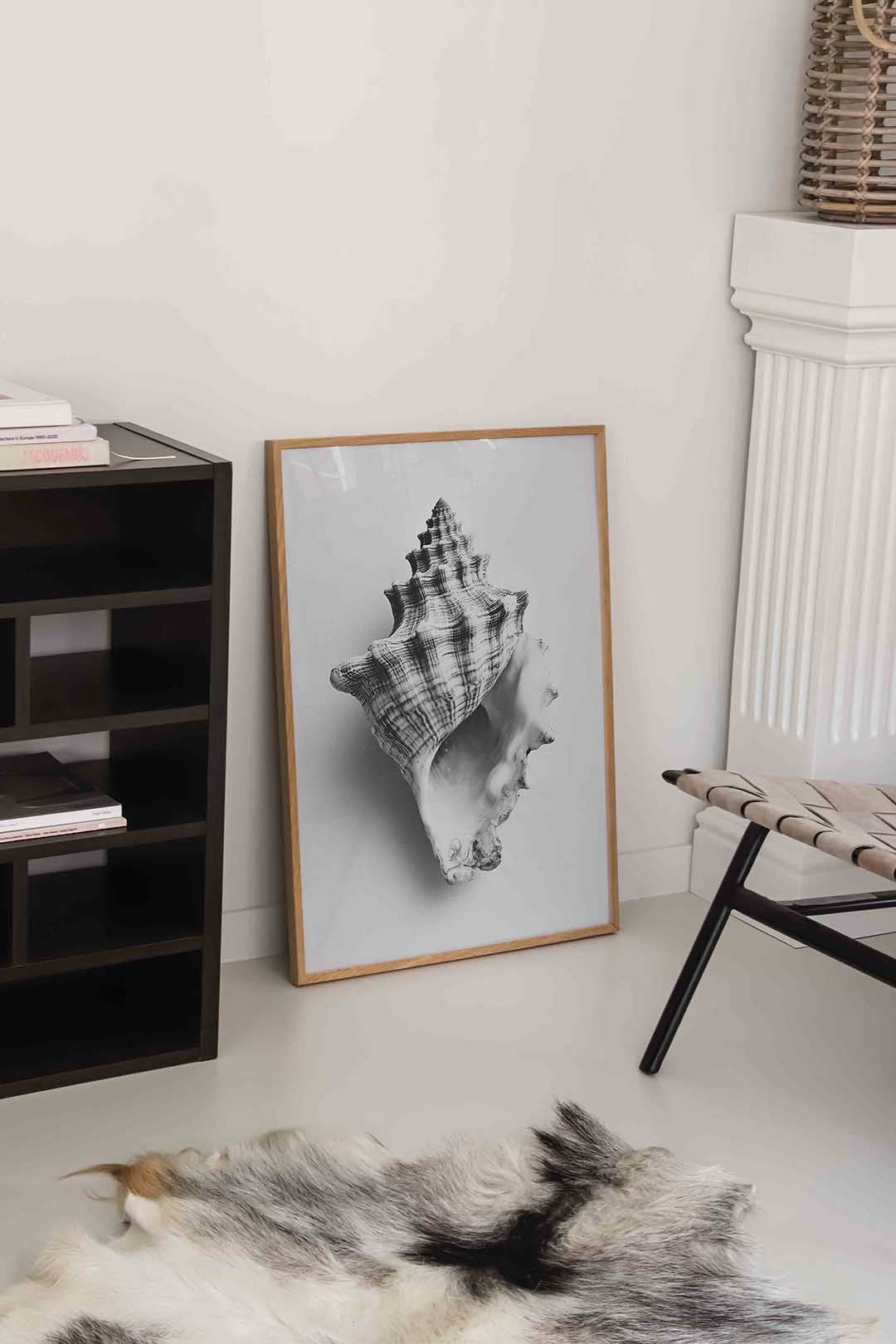 Schelp Poster