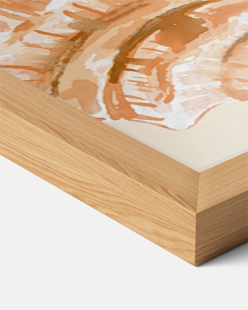 Oranje Schelpen Poster-WallArtistic