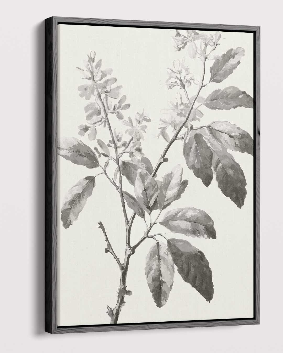 Botanische Elegantie Kunstwerk-canvas-dibond-plexiglas-wanddecoratie-WallArtistic