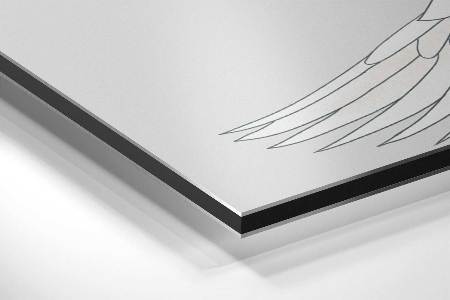 Dansende Kraanvogels Kunstwerk-canvas-dibond-plexiglas-wanddecoratie-WallArtistic