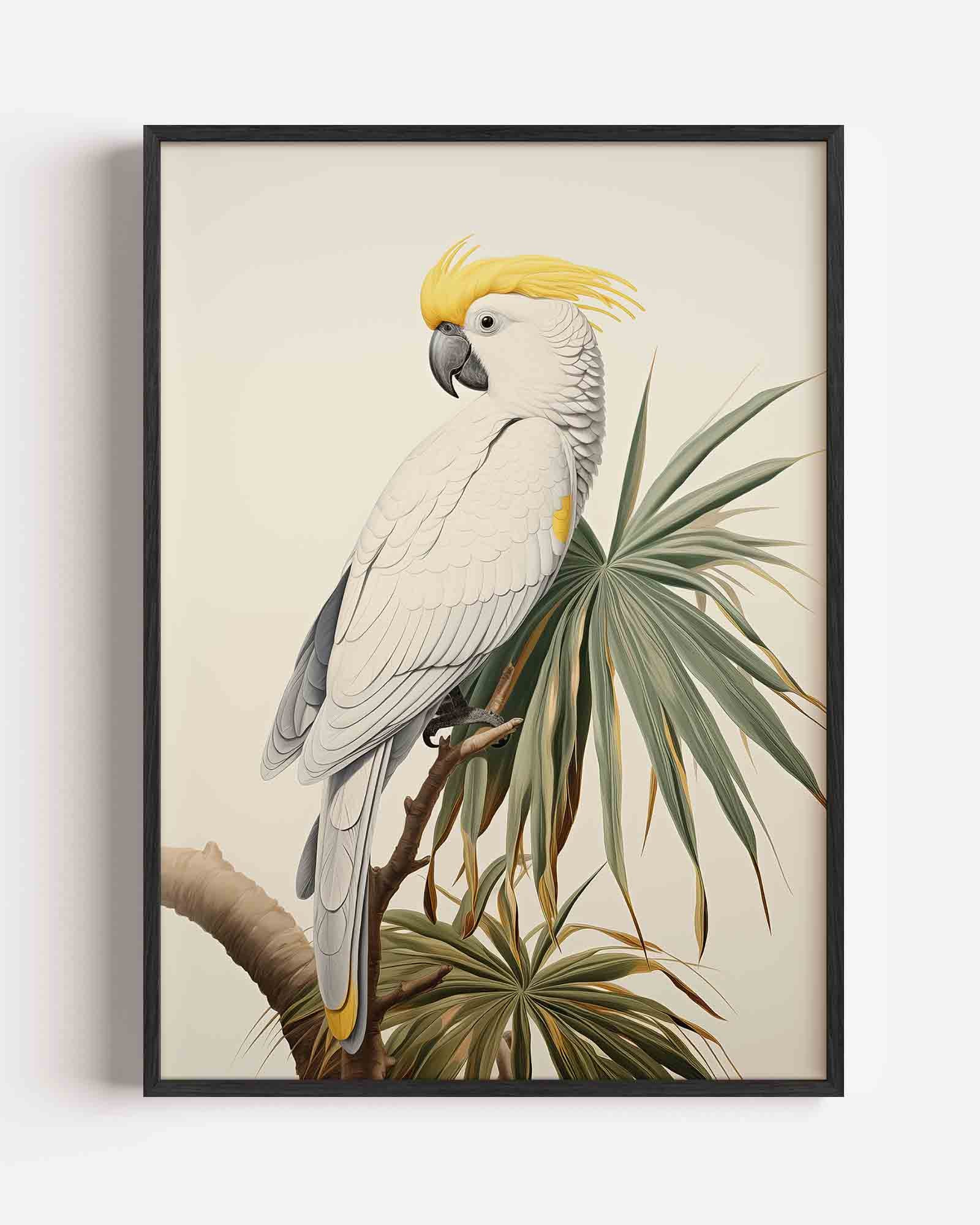 Witte kaketoe Poster