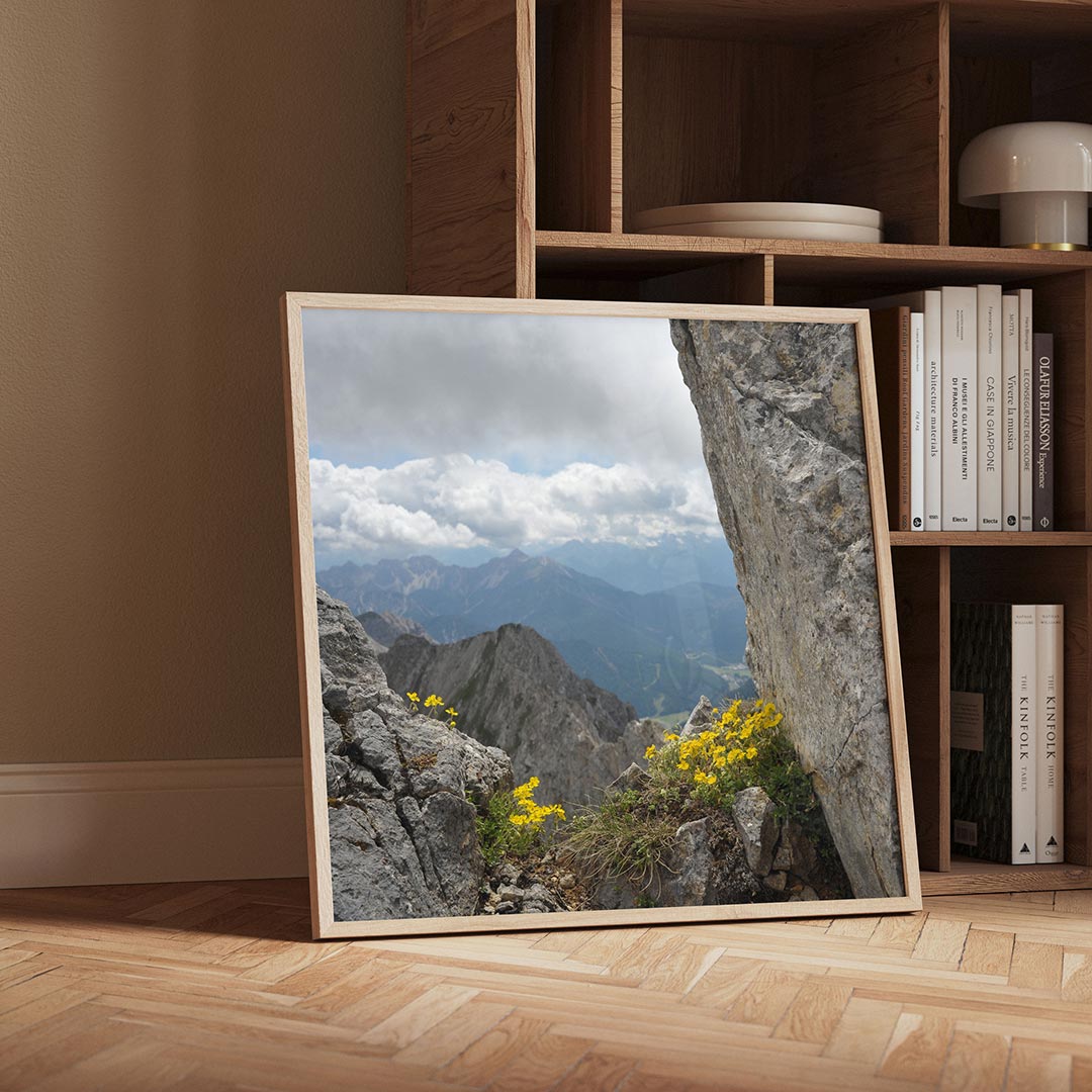 Berglandschap met bloemen Poster