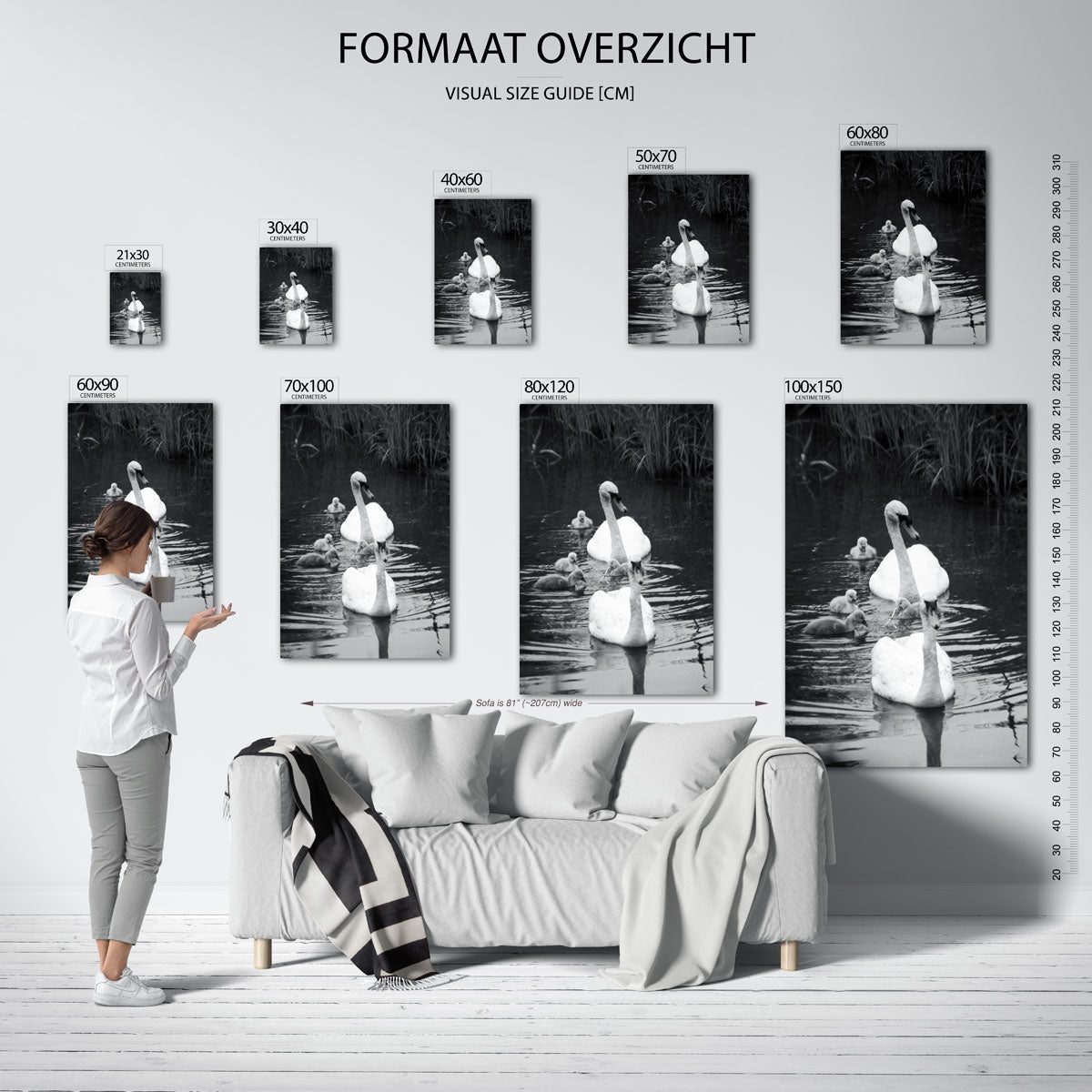 Zwanenfamilie in water Poster