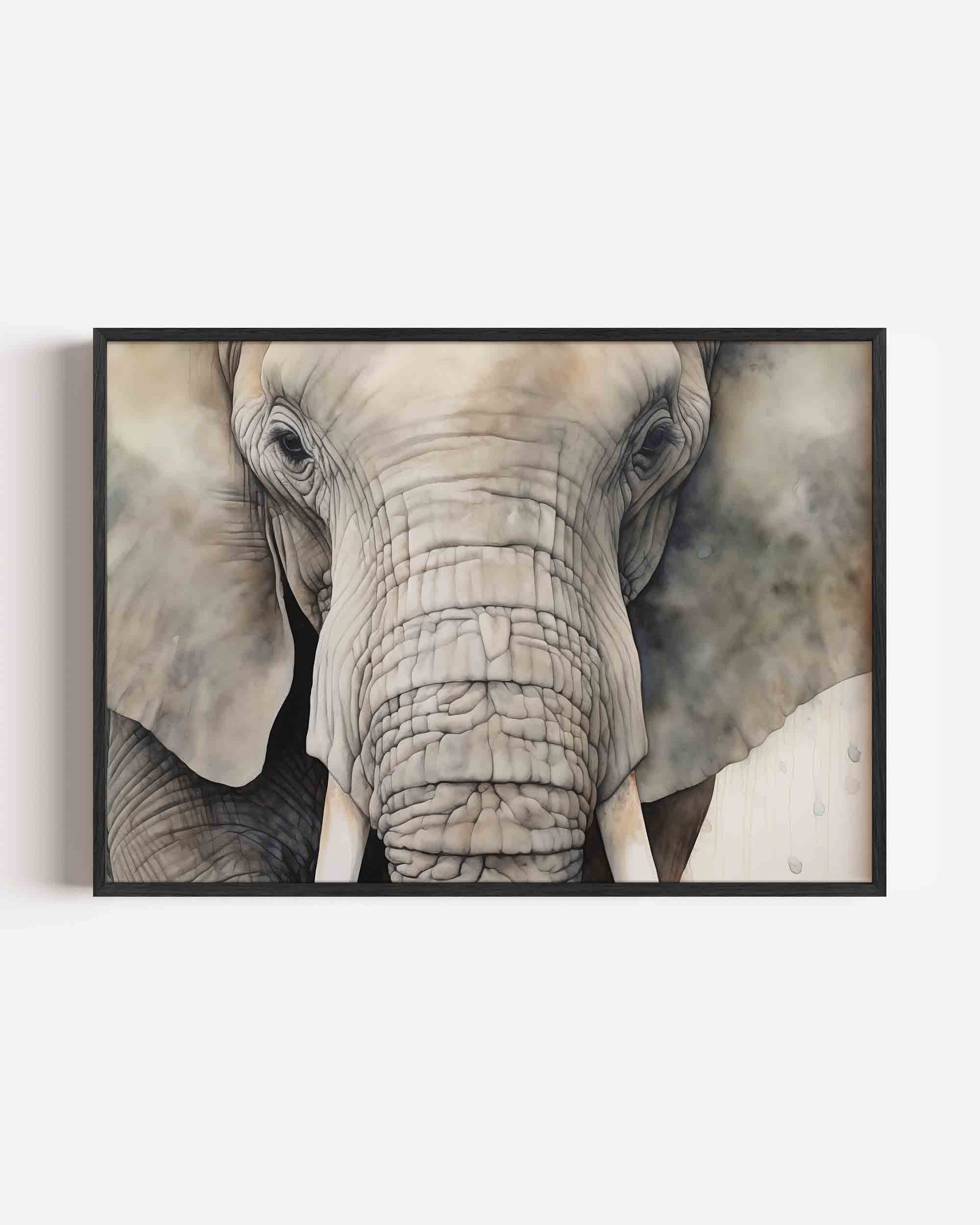 Olifant portret Poster