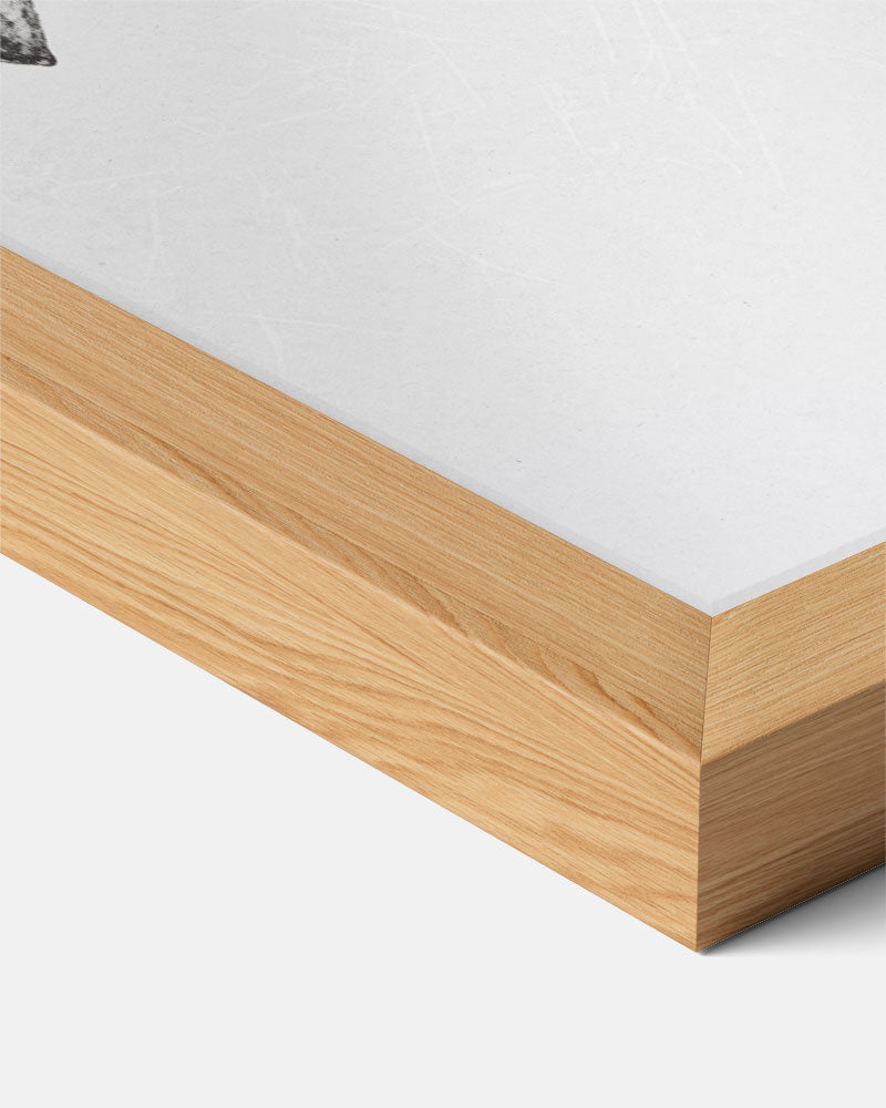 Zwarte en Witte Citroen Illustratie Poster-WallArtistic