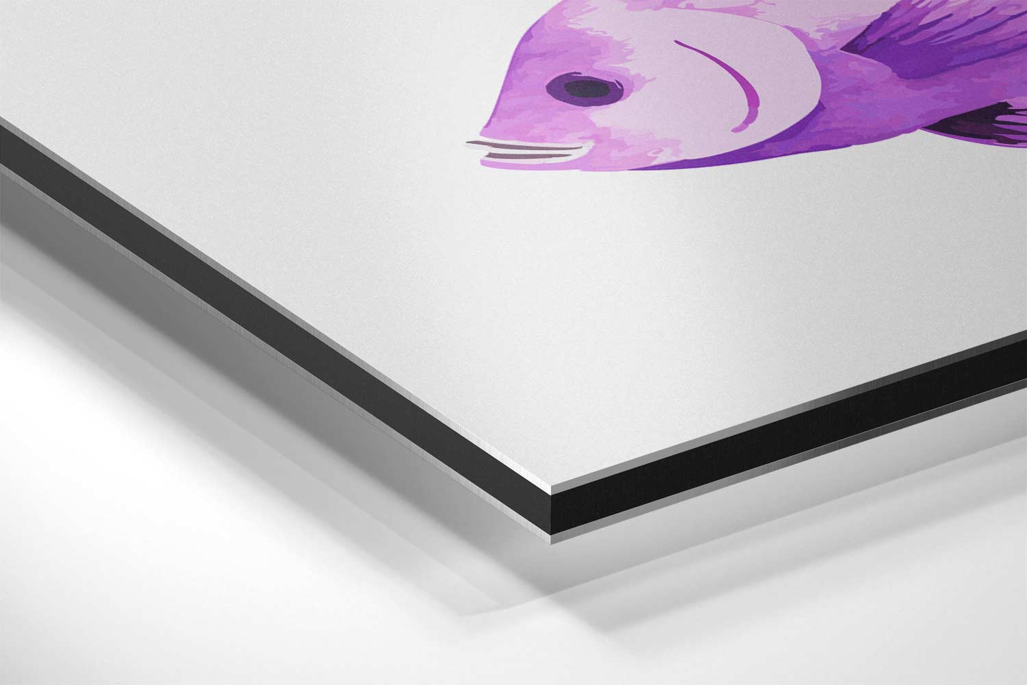 Paarse Vis Trio Kunstwerk-canvas-dibond-plexiglas-wanddecoratie-WallArtistic