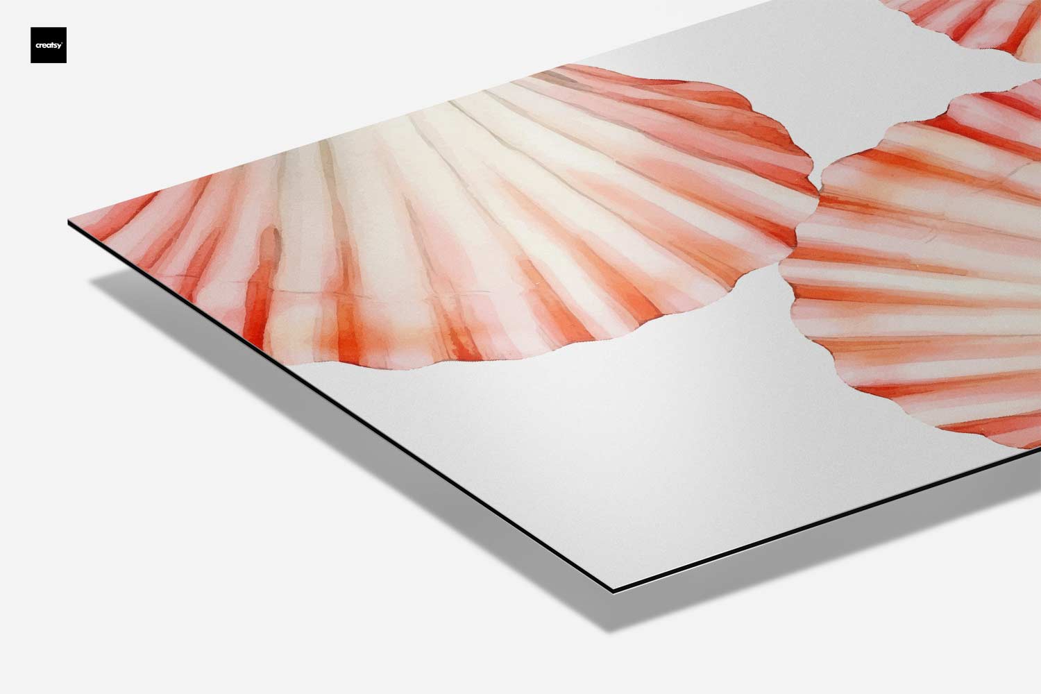 Schilderij van Schelpen Kunstwerk-canvas-dibond-plexiglas-wanddecoratie-WallArtistic