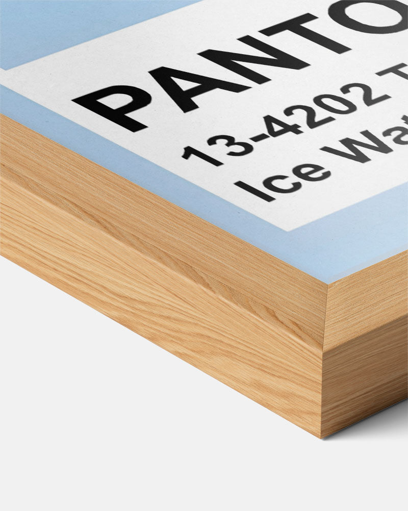 Pantone Inspiratie Poster