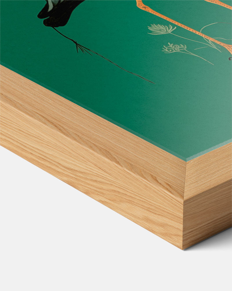 Elegante Kraanvogel op Groene Achtergrond Poster-WallArtistic