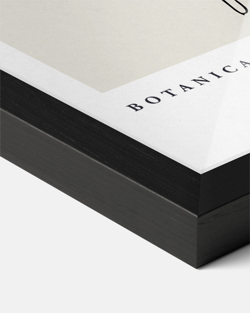 Botanica I Poster-WallArtistic