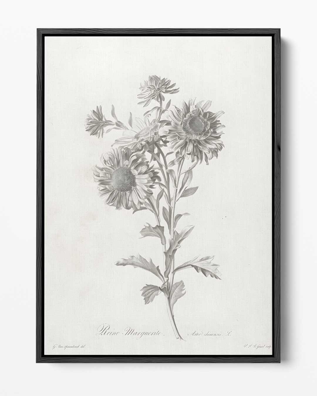 Klassieke Bloemstilleven Illustratie Kunstwerk-canvas-dibond-plexiglas-wanddecoratie-WallArtistic