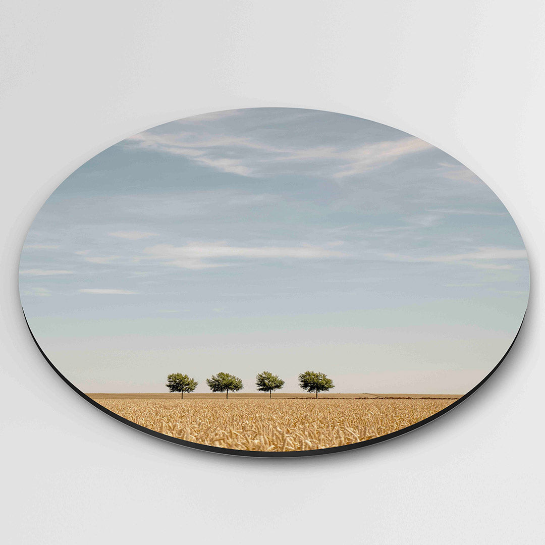 Landschap met bomen Muurcirkel