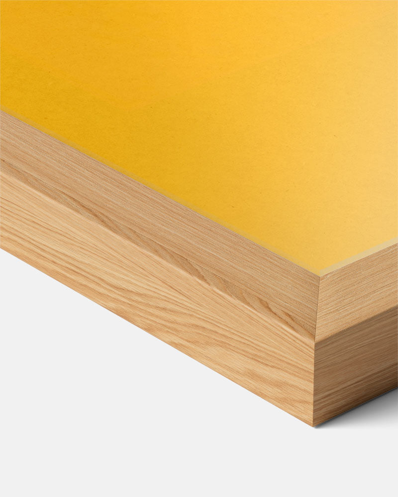 Stijlvolle Toekan Poster-WallArtistic