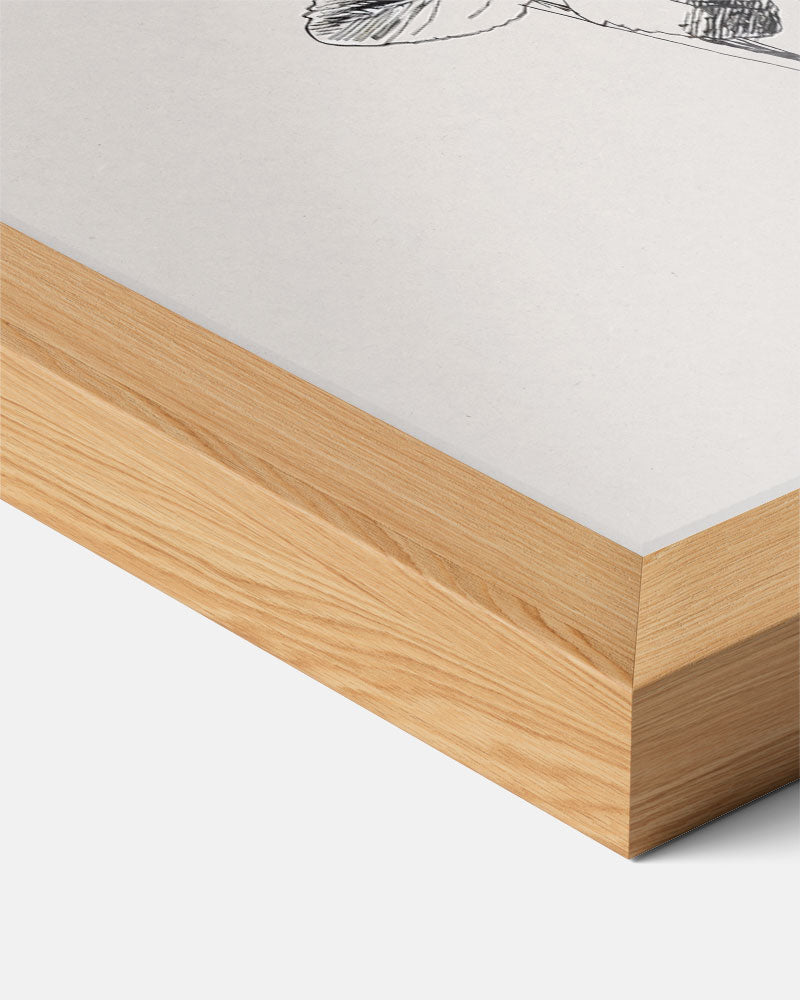 Bloemen Elegantie Poster-WallArtistic