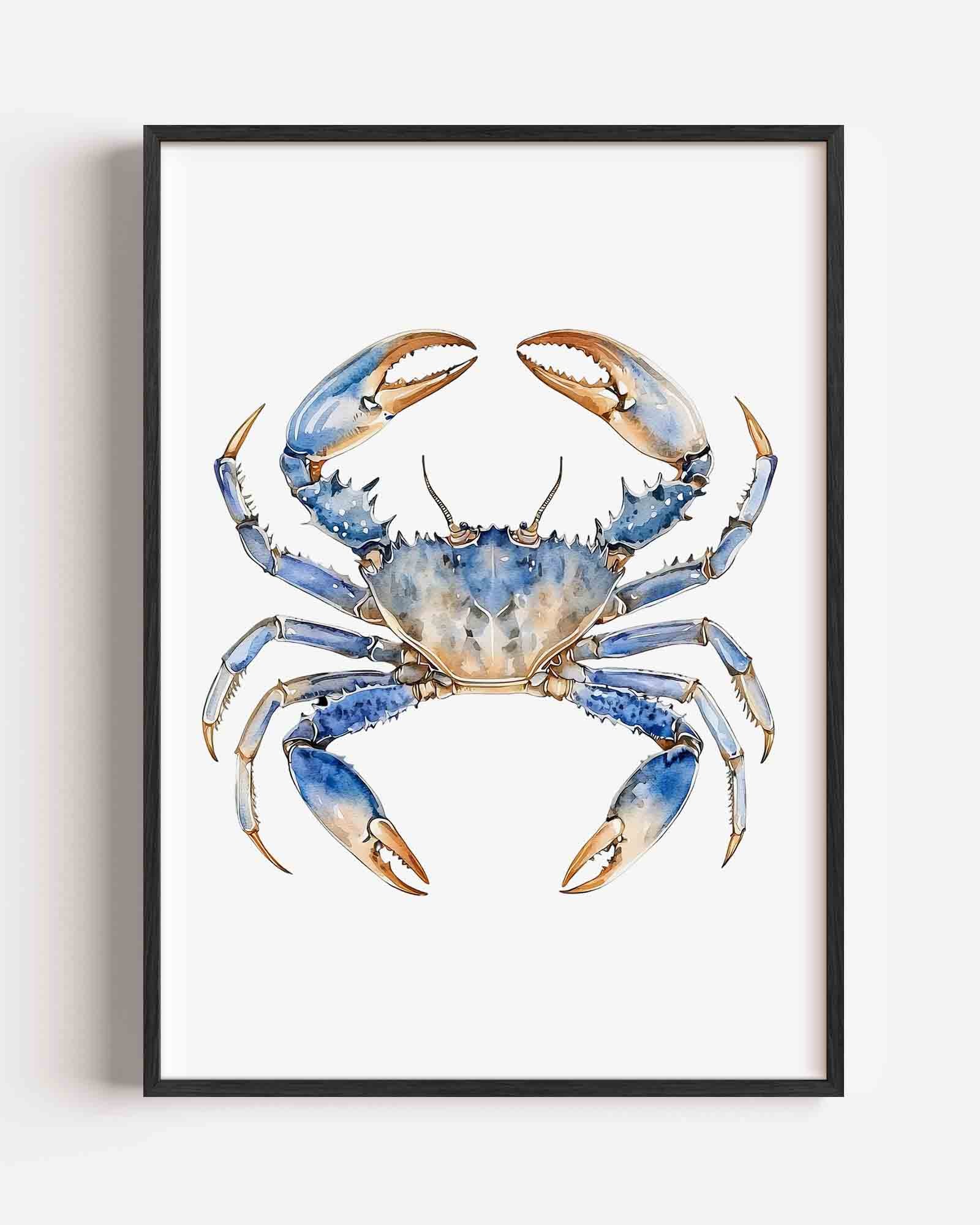 Blauwe krab Poster